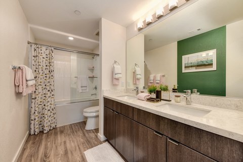 Bathroom with large counter space and several sets of cabinets beneath the counter.  Harwood inspired flooring and green accent wall.